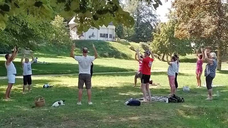 BMO und Qigong Trainingsplan - Live Sessions